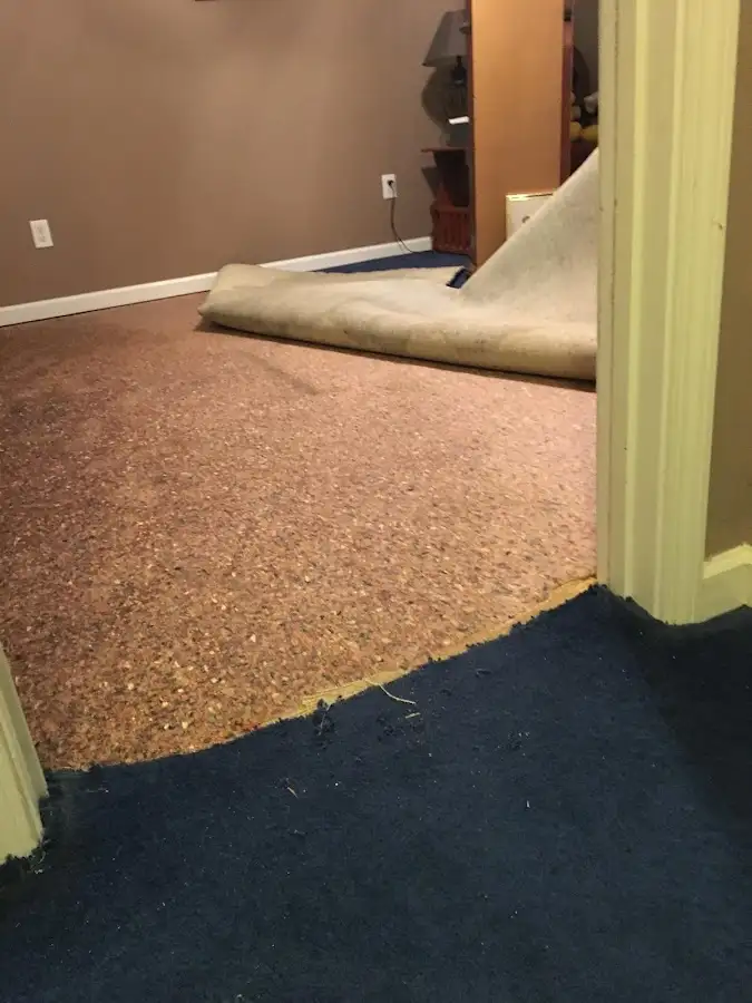 Carpet pad removal revealing water damage during Drying & Dehumidification in Del Rio