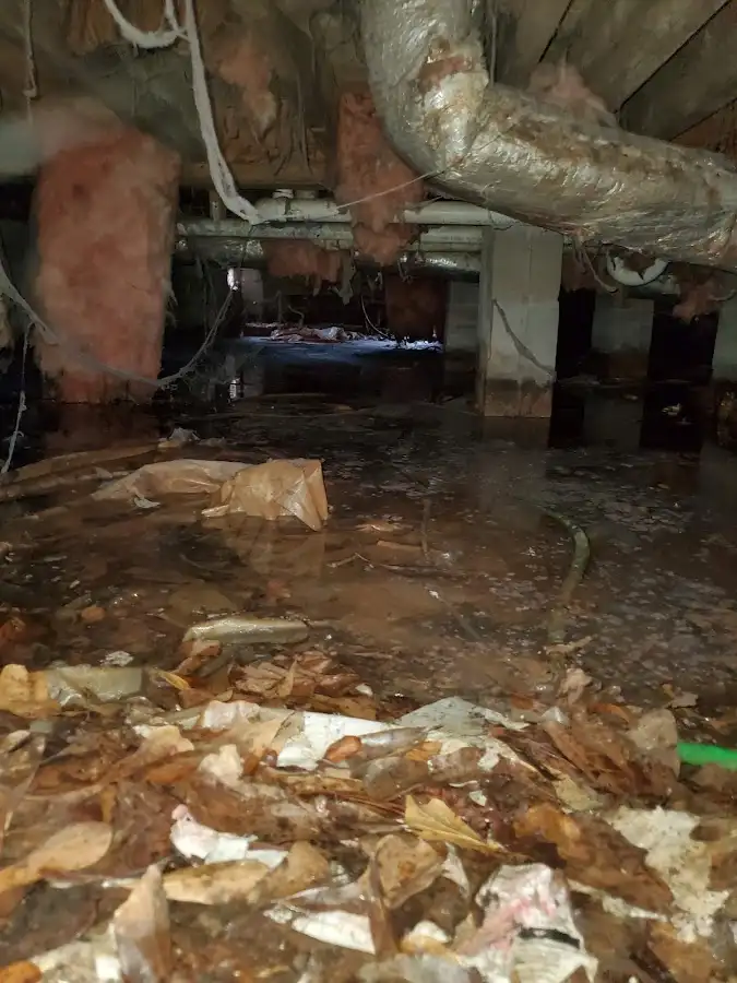 Crawl space flood assessment for Leak Detection & Repair in Del Rio