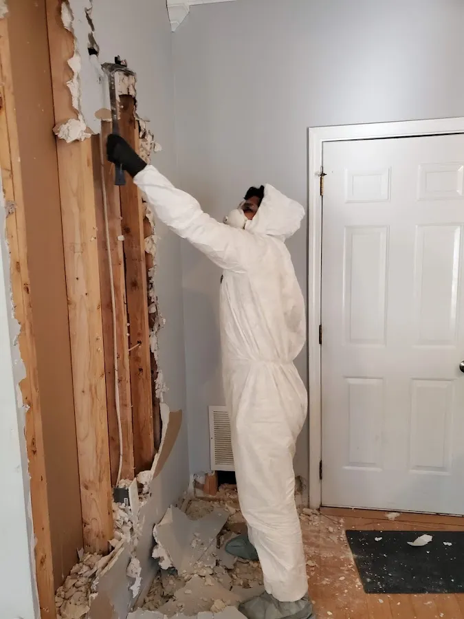 Mold Inspection & Testing in Del Rio, TX